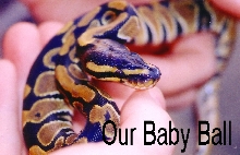baby ball